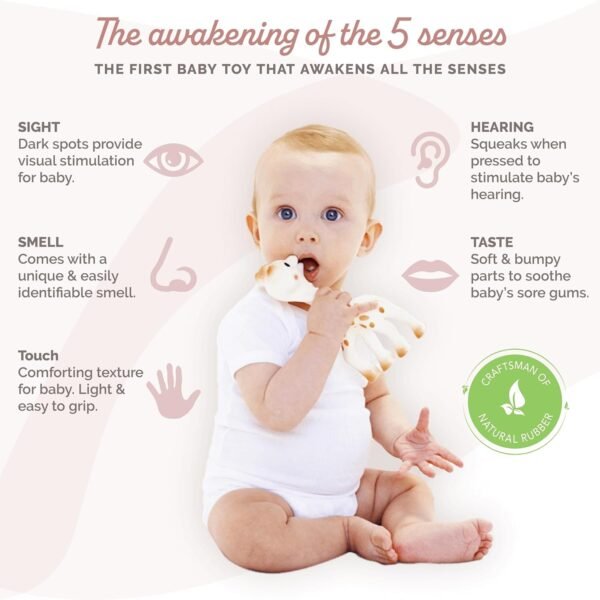 Best Vulli Sophie The Giraffe Teether - Polka Dots Teether Toy review - Image 3