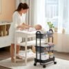 Rolling Cart Organizer